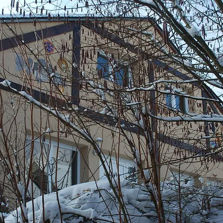 Гостевой дом Connies Art House Рейл