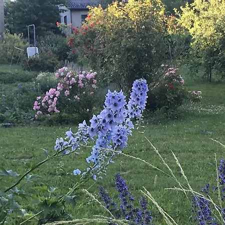 Connies Art House Гостевой дом Рейл
